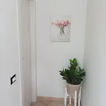 Casa Mario Piedimonte San Germano